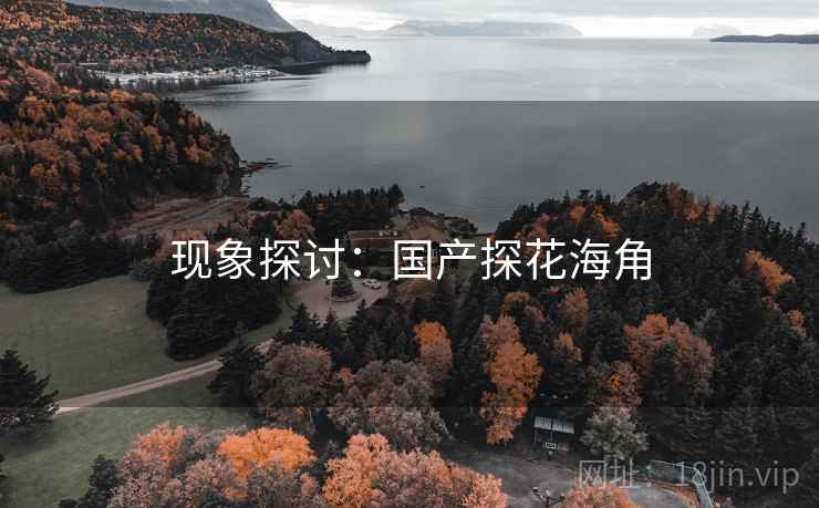 现象探讨：国产探花海角  第2张
